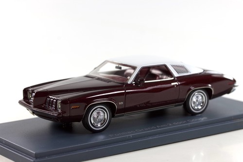 Neo 1973 pontiac grand 2 - 1973,