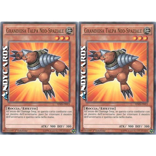 Grandiosa talpa - grandiosa,